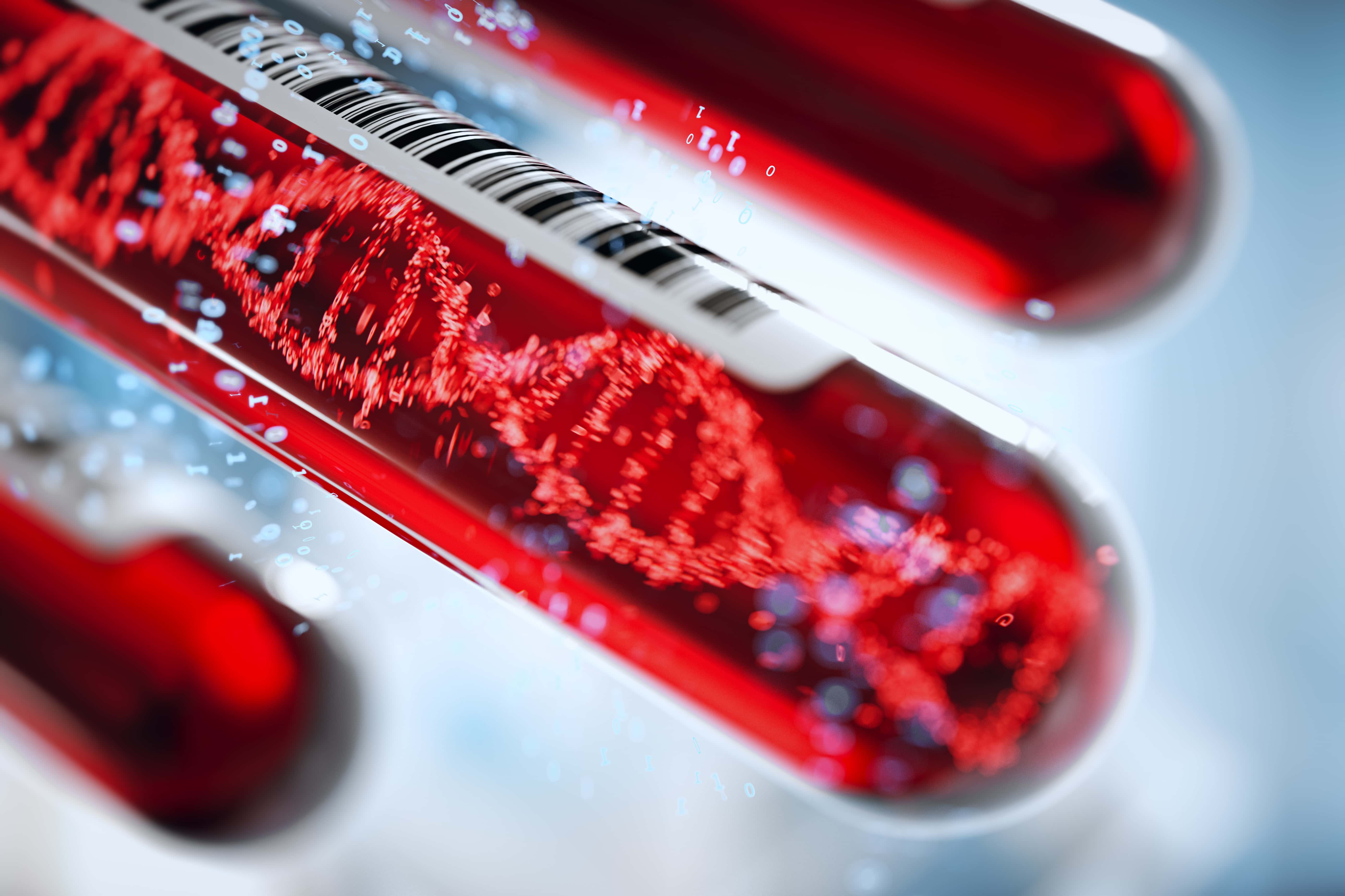 Blood sample tube for blood group A education