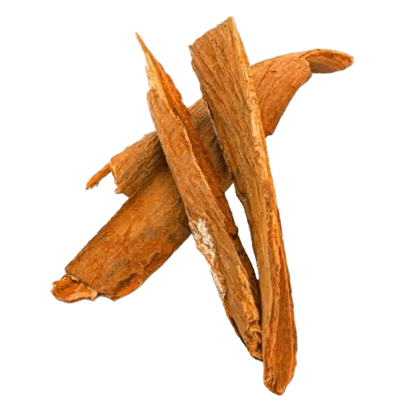 Cinchona Bark Tea